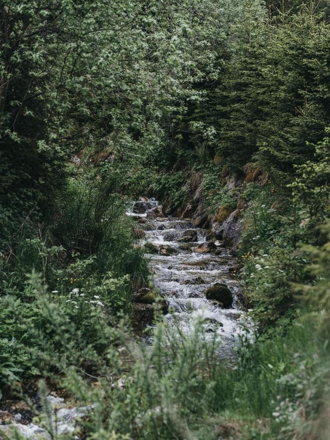 Vaya Achensee Inklusive Achenseecard Achenkirch Luaran gambar